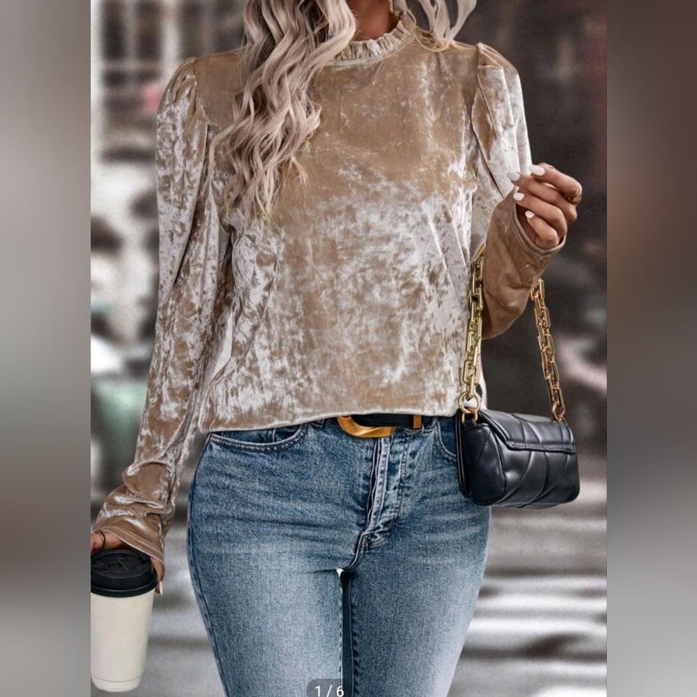 Velvet Blouse